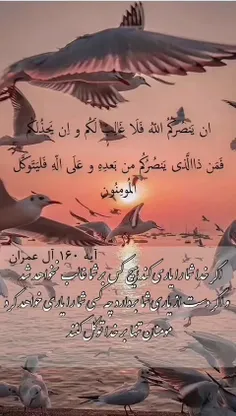 ❤️شب يازدهم