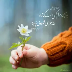 عاشقانه ها asmaalidadi 28377796