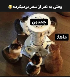 چیزی هم برا ما آورده؟