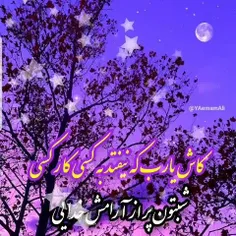 ⭐️شب داستان زندگی ماست