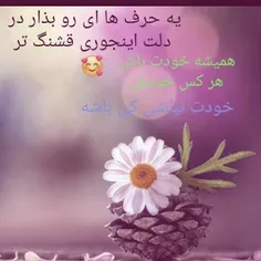 nabze_asheghaneh 41083575