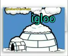 i--igloo - - ایگلو 