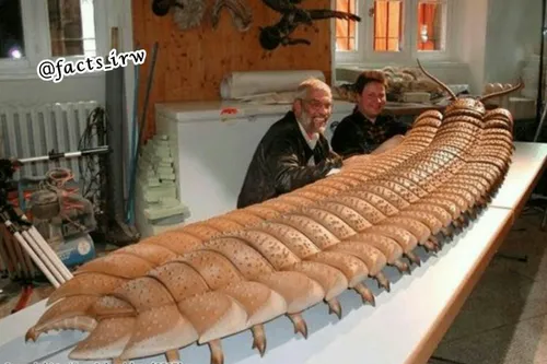 این بندپای عظیم الجثه که عقرب دریایی نامیده شده، ۲.۵ متر 