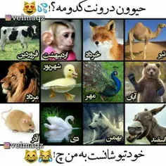 همه بگین😂 