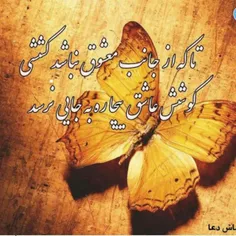 تا که از جانب #معشوقه نباشد کِششی