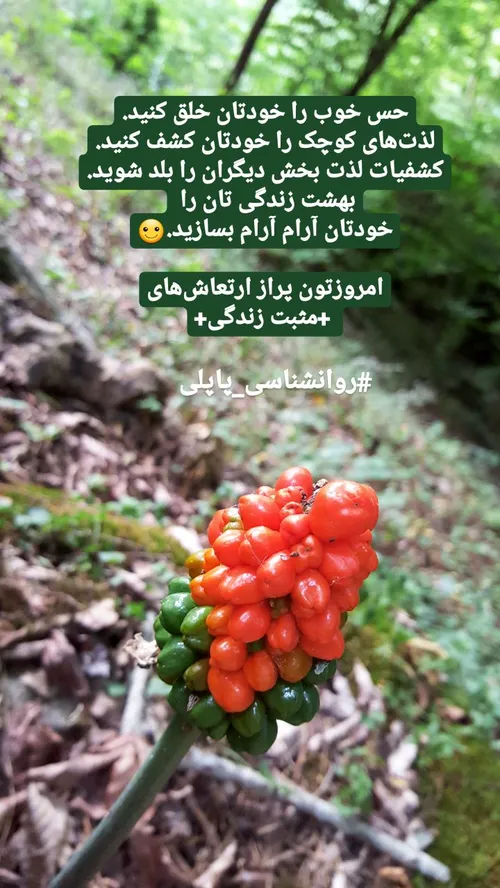 حس خوب🌹