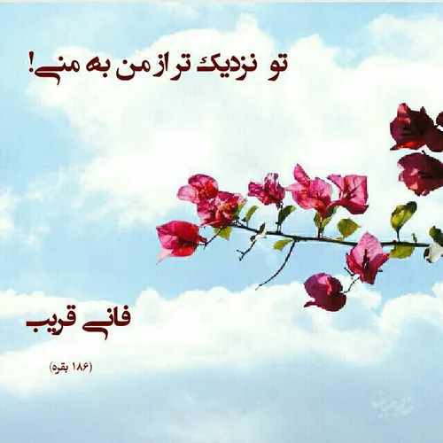 کافی، ج 6، ص 484، ح 5