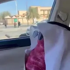 گرانی پیاز در عربستان