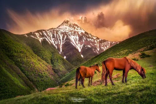 *♦️کجور، مازندران*