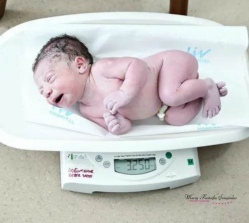 وزن بعد از تولد