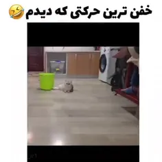 گودرت گوربه