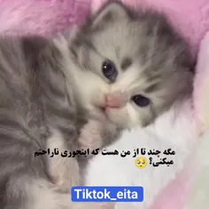 ترخدا فالوم کنید تازه واردم گونا دارم🥲💔