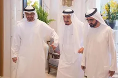 امارات و بحرین از اعدام شیخ نمر حمایت کردند.