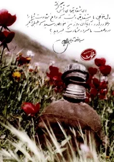 🔷 تنها آرزوی سید اهل قلم که محقق شد...