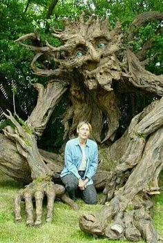 این مرد طی 10 سال تونسته این درخت رو پرورش بده