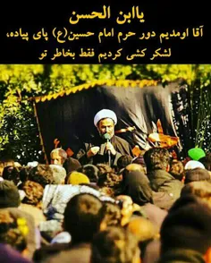 آقا اومدیم دور حرم حسین پای پیاده، لشکر کشی فقط بخاطر تو