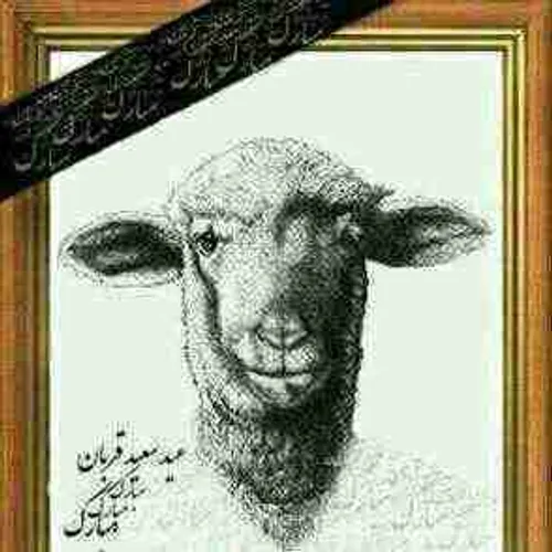 دوستان عیدتان مبارک ,البته به گوسفندها تسلیت باید بگیم ..