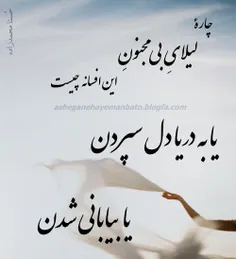 لیلی شبی از وادی مجنون گذر کرد