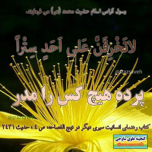 رسول گرامی اسلام حضرت محمد ص می فرمایند.