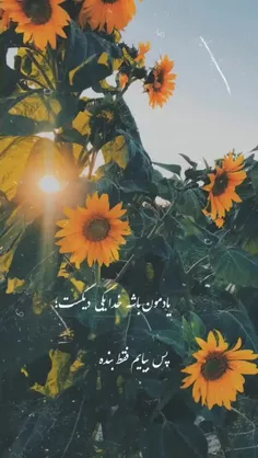 #ﷲ