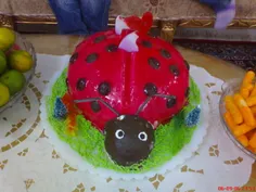 کیک تولد آبجیم!