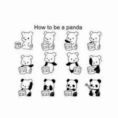 how to be a panda?