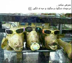 ههههخ