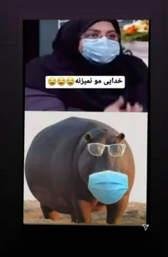 #اقای_چت