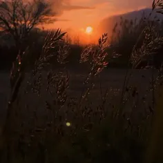 خدایا.ب بزرگیت قسم. دلم گرفته💔💔💔🥀