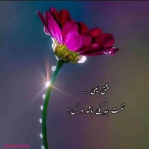 عاشقانه