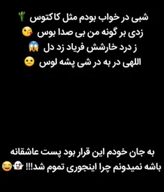 قرار بود عاشقانه باشه چرا پشیه لوس شد 😂😂😔