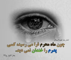 امام رضا علیه السلام