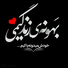 behzad1824 41284970