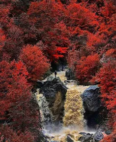 طغیان آبشار زیبای ماسوله در پاییز هزار رنگ گیلان