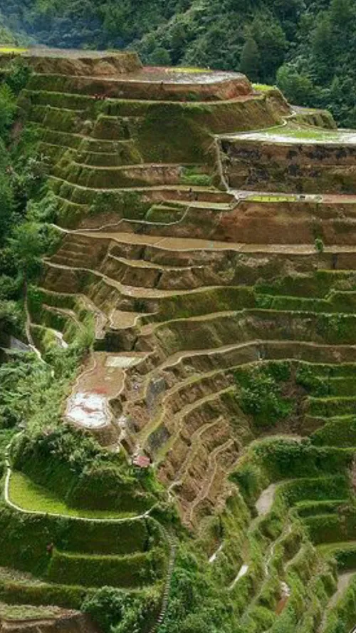 مزارع پلکانی با چشم اندازهای خیره کننده در استان یوننان (