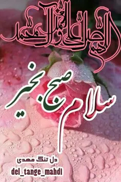 صبحی  دگر رسید و من به شکرانه رسیدنش هزار شکر میگویمت....