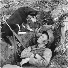 در سال 1925 یک سرباز یونانی برای پیدا کردن سگ خود تصادفا 