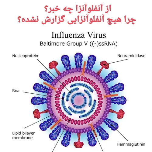 آنفلوآنزا چه خبر