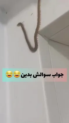 زود تو کامنتا بگید🤣