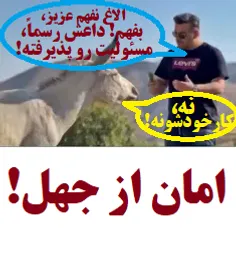 امان از جهل اکثریت نادان و بازیچه های دشمن!