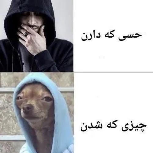 حسی که پسرا موقع پوشیدن هودی دارن😁