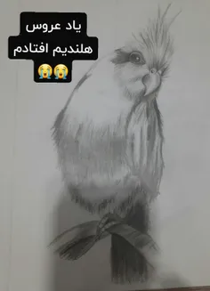 بعد از این همه مدت نقاشی جدید کشیدم