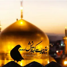 یا امام رضا....