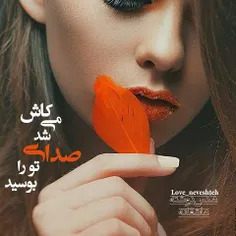 کاش روزی تلفنم زنگ بخورد 