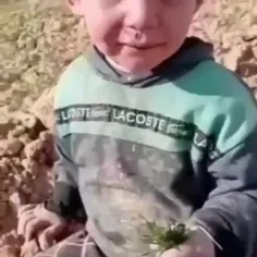 این یک کودک مظلوم یمنی است ،