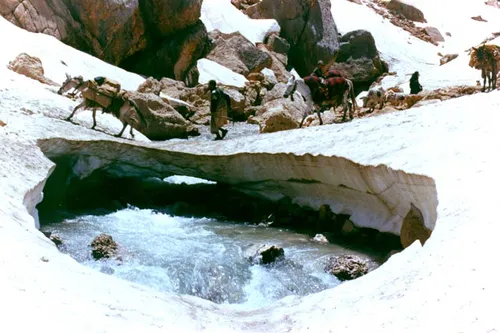 کوچ عشایر بختیاری