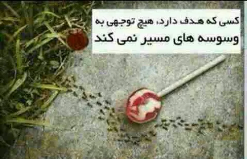 کاش منم به هدفم برسم... کاش به علایقم برسم .... میخام موف