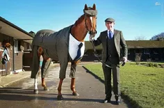 خیاط سرشناس انگلیسی، لباس جالبی را برای یک اسب#طراحی کرد😂