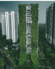 فضای سبز متنوع شهری ، #سنگاپور