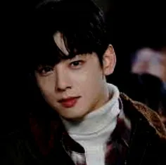 cha eun woo 